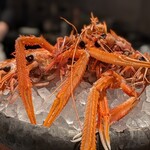 Restaurant DESTINA - 