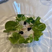 アッシュ - 