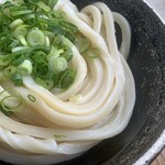 須崎食料品店 - 鋭い角で抜群のコシ！最上級レベル！