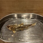 てんぷら 深町 - 稚鮎