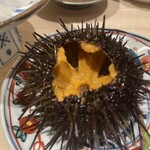 銀座のみこ寿司 - 