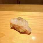Sushi Shunsuke - ⑮ ボタンエビ