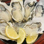 鹿肉&オイスターバル 鹿肉スロウダウン - 