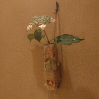 新ばし 星野 - 