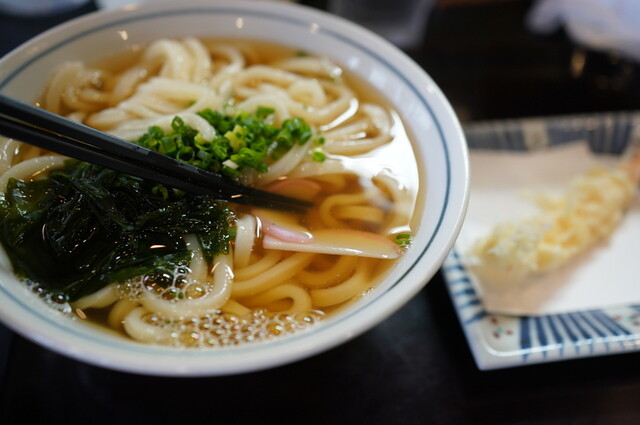 Teuchi Udon Sumita photo 5