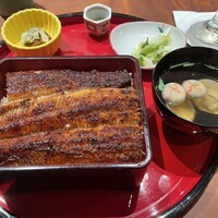 炭焼 うな富士 有楽町店 - 