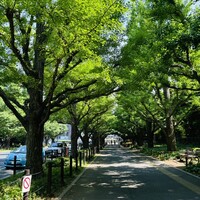 キハチ 青山本店 - 