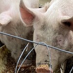 工房 レティエ - 