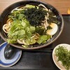 麺処 たかしな - かけ冷　大盛 700円