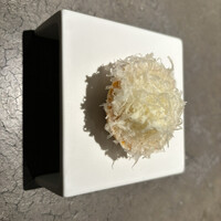 SHIROIYA the RESTAURANT - 