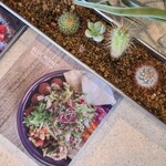 ブルーポイント ファラフェル＆コーヒー - 