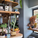 ブルーポイント ファラフェル＆コーヒー - 