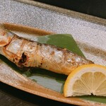 すし おおまさ - いわし