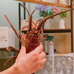 すし おおまさ - 