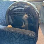 なないろ堂 - 猫の生態に充分配慮を行って撮影しています。