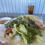 なないろ堂 - 猫の生態に充分配慮を行って撮影しています。