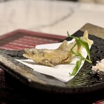 完全個室鮨和食かなうS - 揚物　本日の揚げ物(稚鮎)