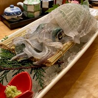 対馬のどぐろとイカ活き造り 博多 魚蔵 都ホテル店 - 