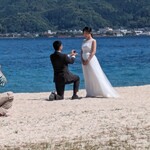 旅館 高島屋 - 天橋立で