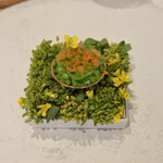 レストラン ナズ - 