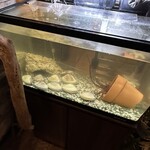 ビストロ セレニテ - 