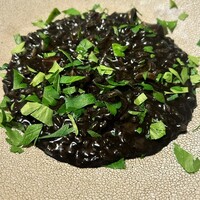 トラットリア トロンコ - 