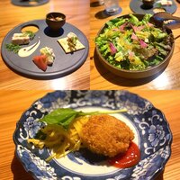 眞か SHINKA - 