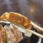 Goku Niboshi Hompo - 「焼餃子」は皮薄めで焼面はパリパリ！