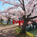 サーティワンアイスクリーム - 弘前公園の春陽橋の満開の桜