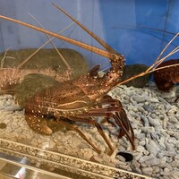 中納言 大阪駅前第3ビル店 - 