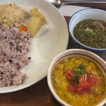 初台スパイス食堂 和魂印才たんどーる - 202405