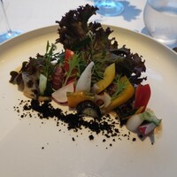 イリエスケープ - 