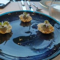 イリエスケープ - 