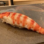 鮨桂太 - クルマエビ