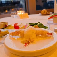 サーラ アマービレ - 