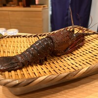 鮨楽座 八の樹 - 