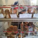 オーゾウ ベーグル - 