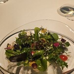 レフェルヴェソンス - 