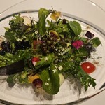 レフェルヴェソンス - 