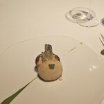 レフェルヴェソンス - 