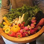 レフェルヴェソンス - 