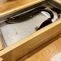 三宅輝 - 