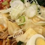 蒙古タンメン中本 - 北極やさい野菜アップ