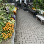 レストラン望羊蹄 - 