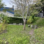 エグ・ヴィヴ - 外観