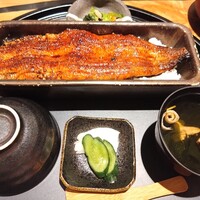 うなぎ四代目菊川 ミッドランドスクエア 名古屋本店 - 