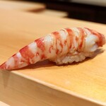 鮨 はしもと - 車海老