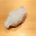 鮨 はしもと - 白いか