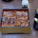 Unagi Ryouriatsumi - 