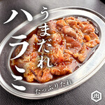 Fujisawa Yakiniku Horumon Takeda - 